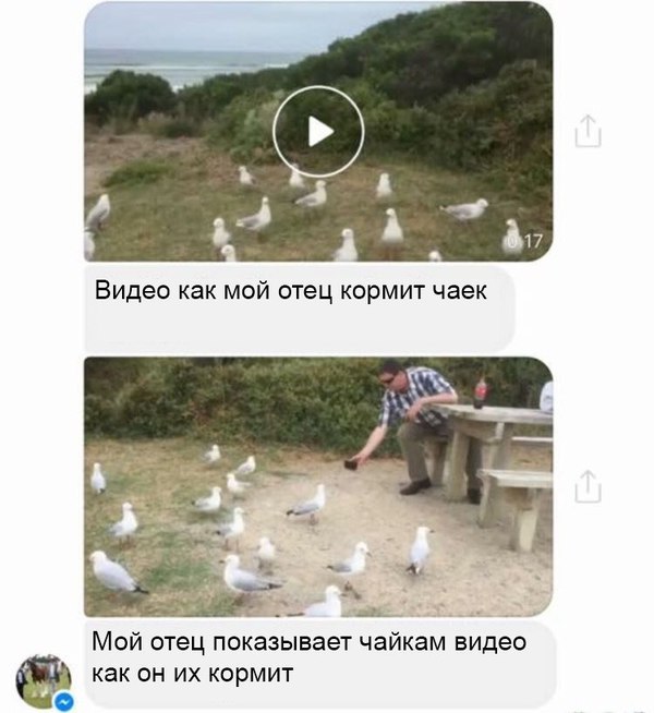 Забавные картинки