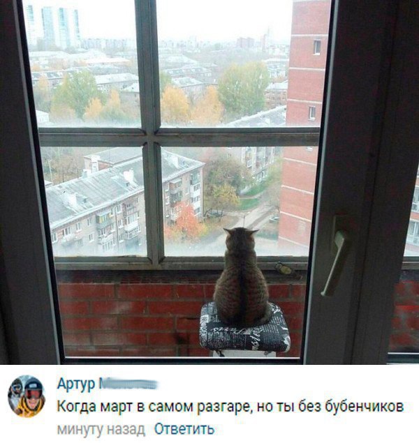 Забавные картинки