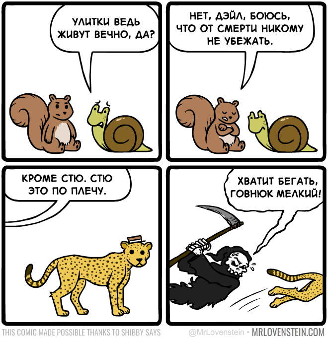 Забавные картинки