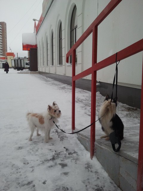 Забавные картинки