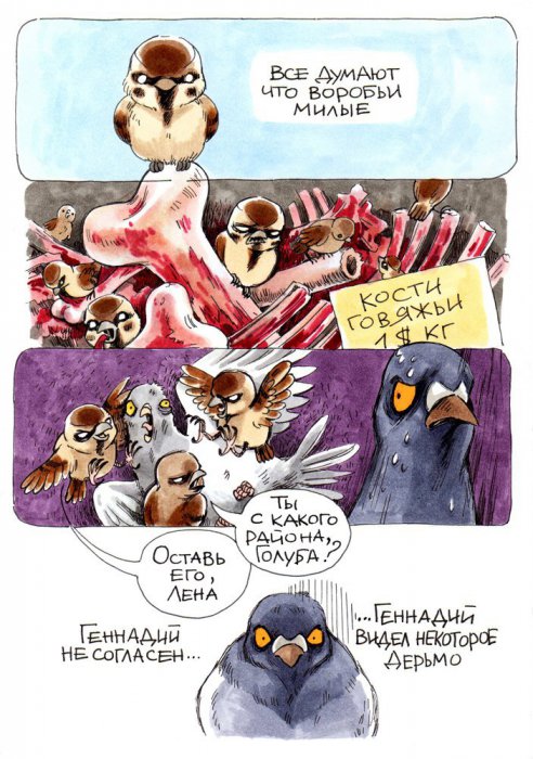 Забавные картинки