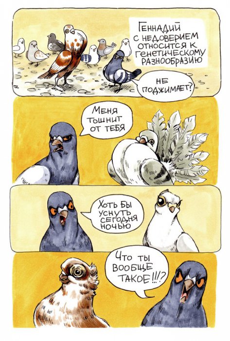 Забавные картинки