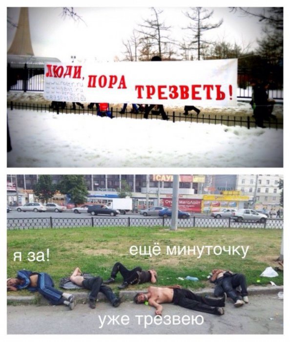 Забавные картинки