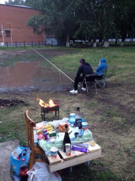 Забавные картинки