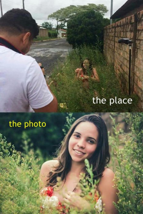 Забавные картинки