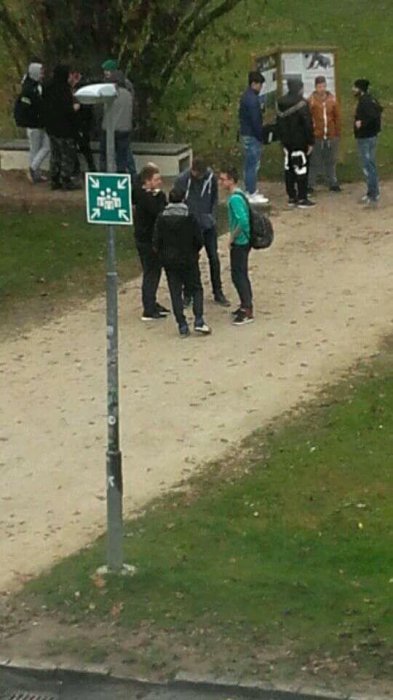 Забавные картинки