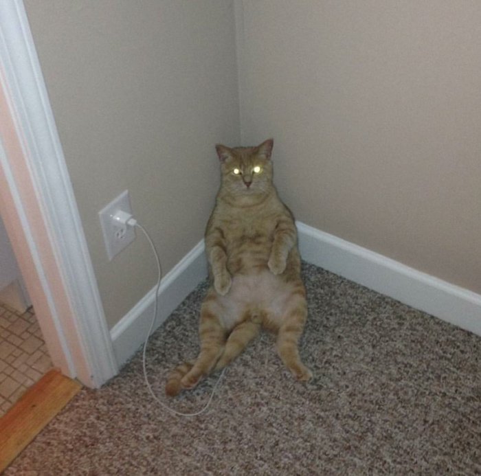 Забавные картинки