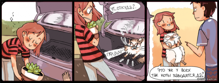 Забавные картинки