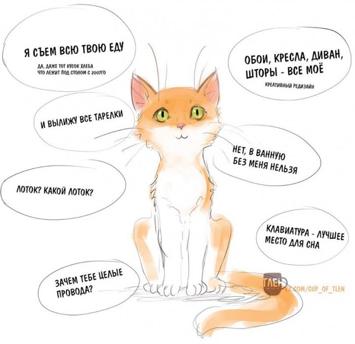 Забавные картинки