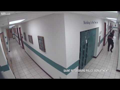 Храбрый коп стал знаменитым