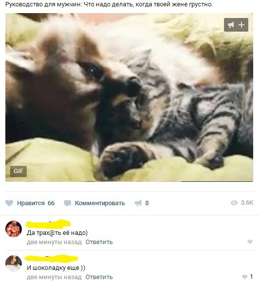 Забавные картинки