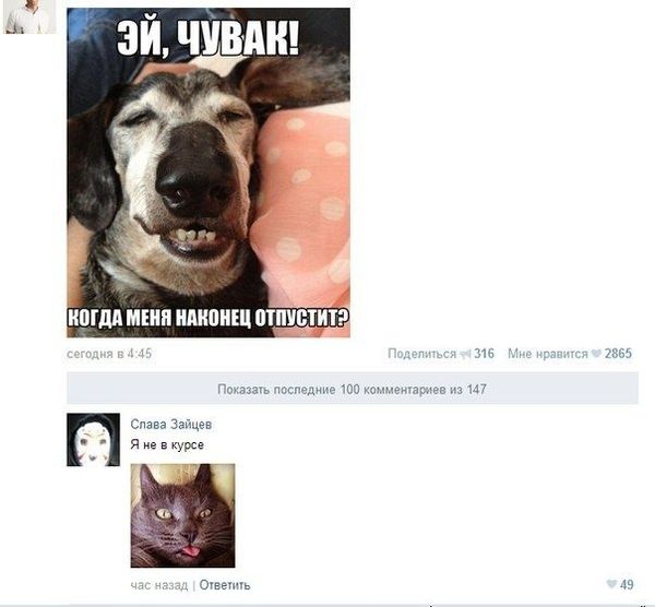 Забавные картинки