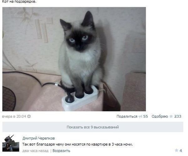 Забавные картинки