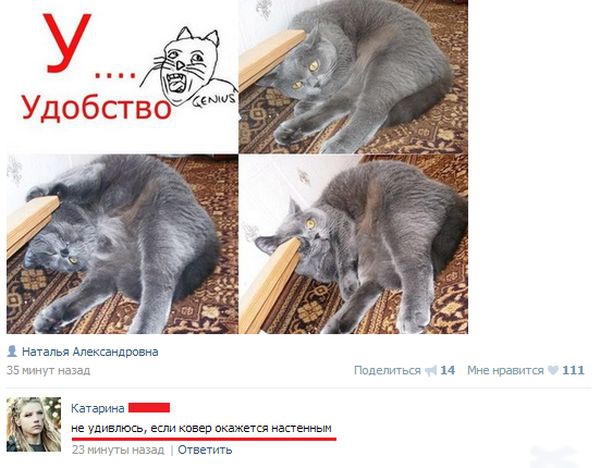 Забавные картинки