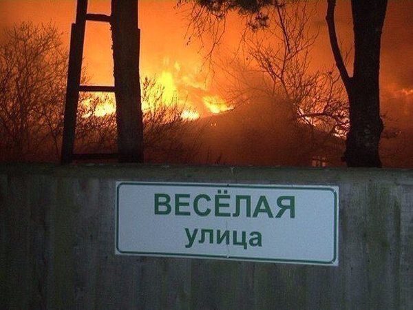 Забавные картинки