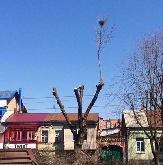 Забавные картинки