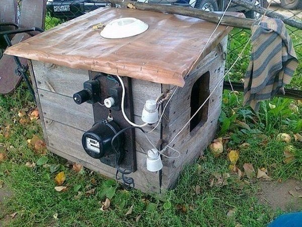 Забавные картинки