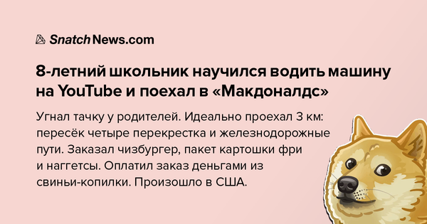 Забавные картинки