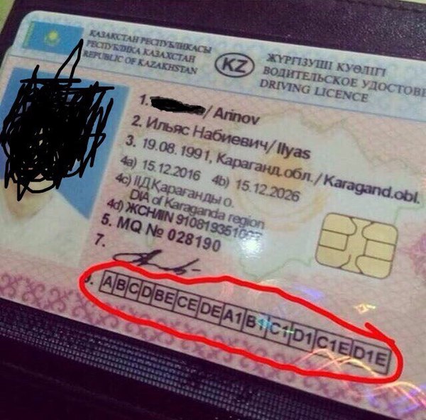 Забавные картинки