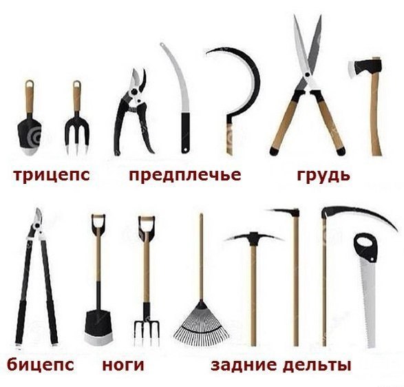 Девушки бывают разные