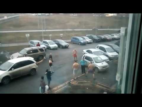 Дворовое побоище