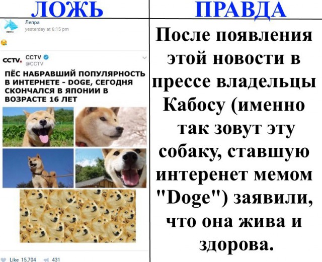 Ложь и правда    