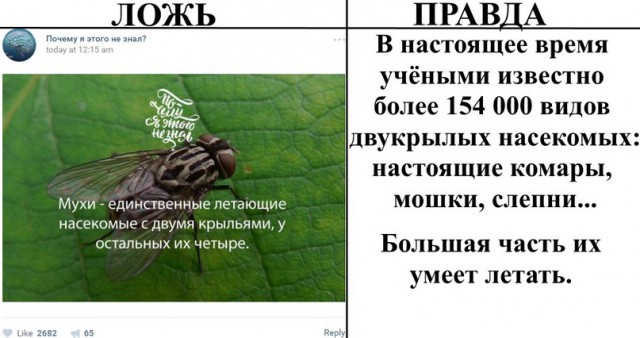 Ложь и правда    