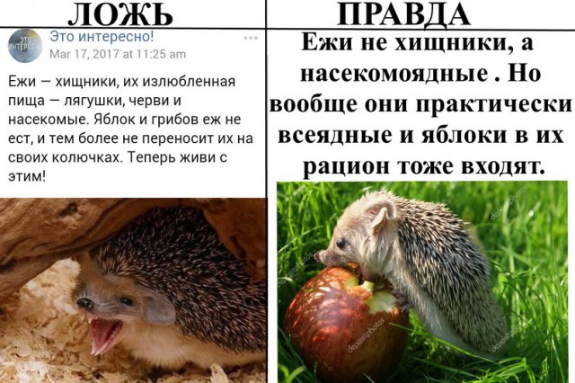 Ложь и правда    