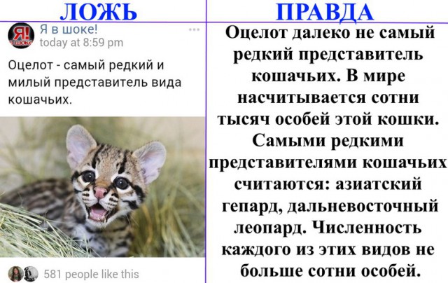 Ложь и правда    