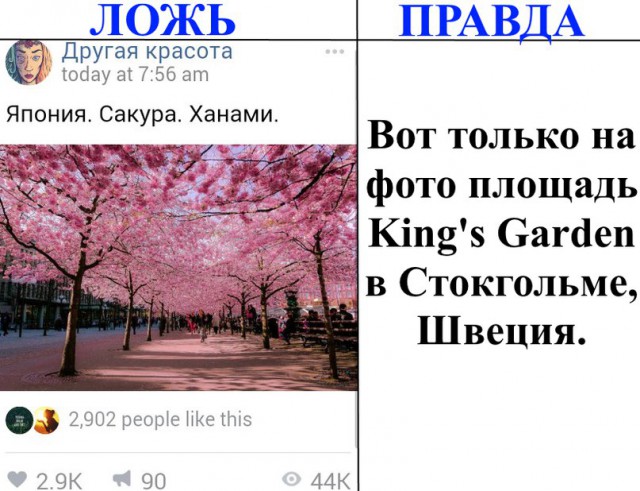 Ложь и правда    