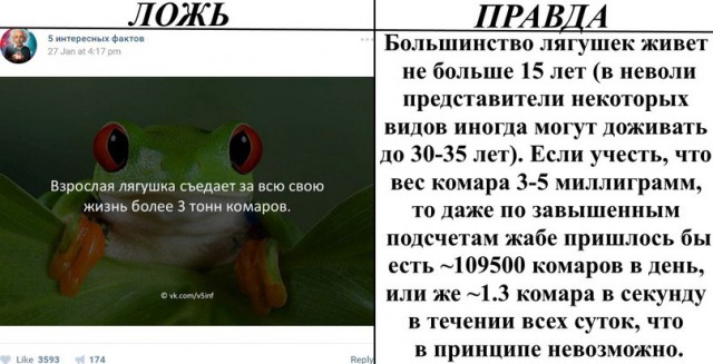 Ложь и правда    