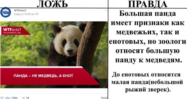 Ложь и правда    