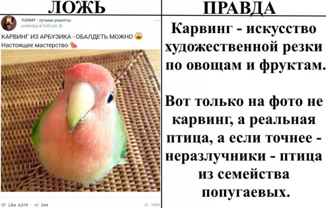 Ложь и правда    