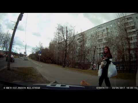 Животное не взяло животное с животным