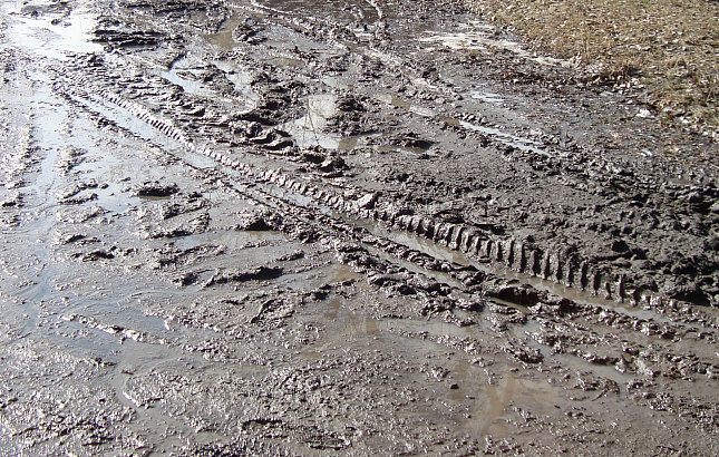 Была бы грязь