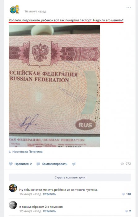 Забавные картинки