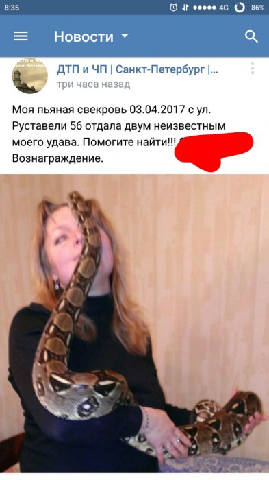 Забавные картинки