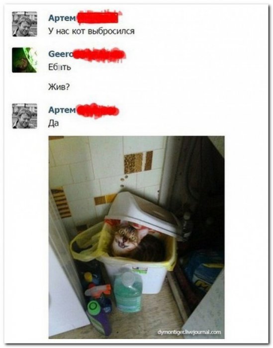 Забавные картинки