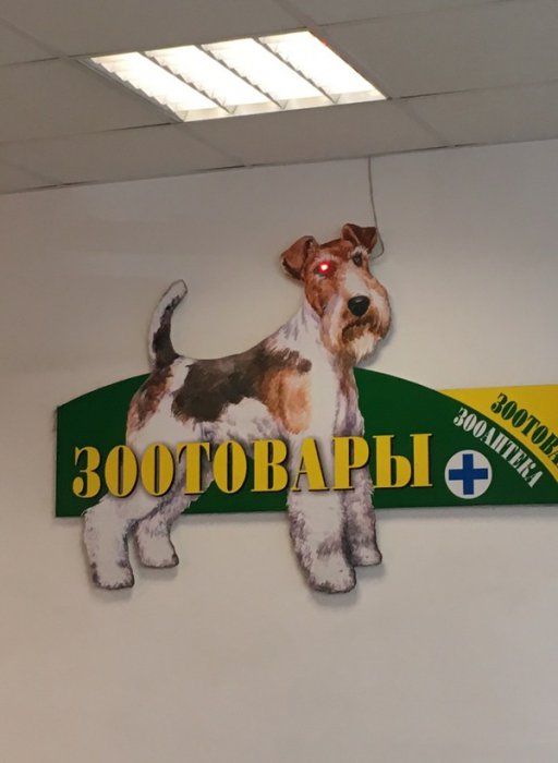 Забавные картинки