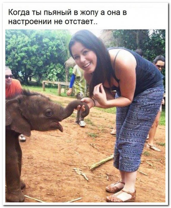 Забавные картинки