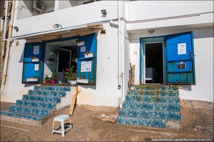 Крымские курятники