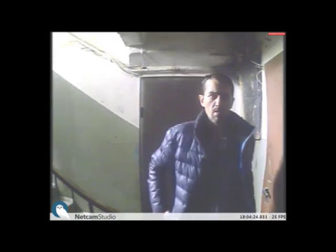 Домушники проводят разведку