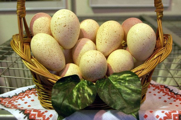 Молоко из пальмового масла: детективные истории о "фермерских" продуктах