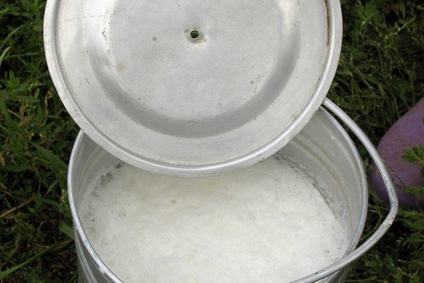 Молоко из пальмового масла: детективные истории о "фермерских" продуктах