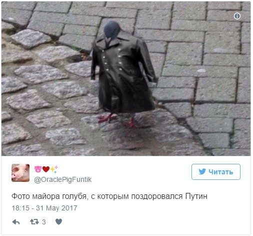 Путин поздоровался с голубем