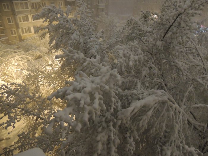 Дню жестянщка быть!