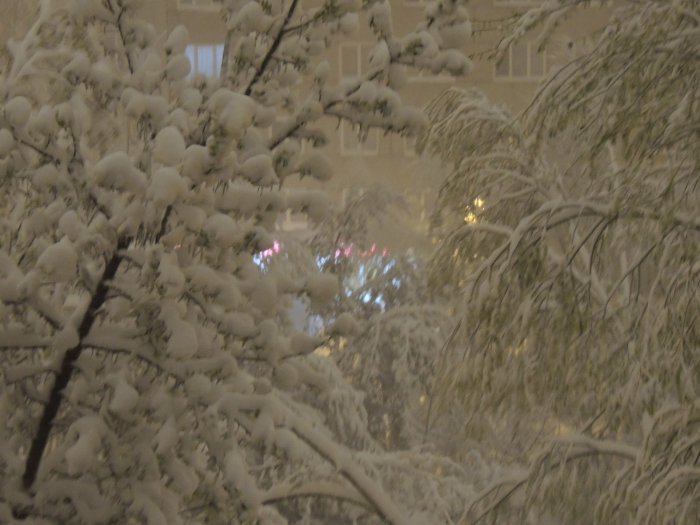 Дню жестянщка быть!