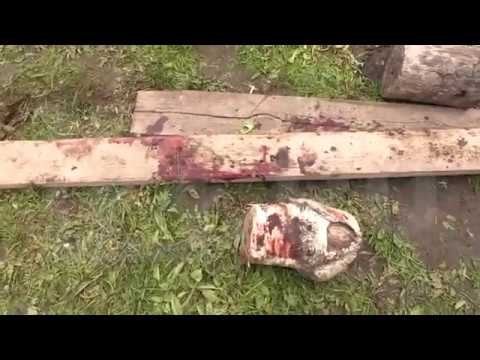 Видео с места тверского расстрела