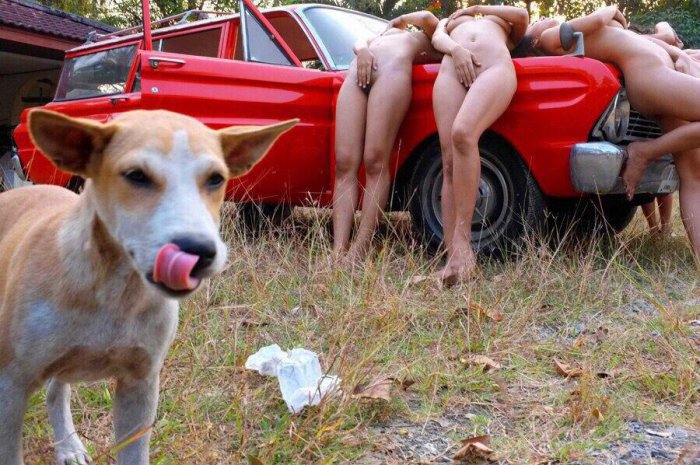 Девушки бывают разные