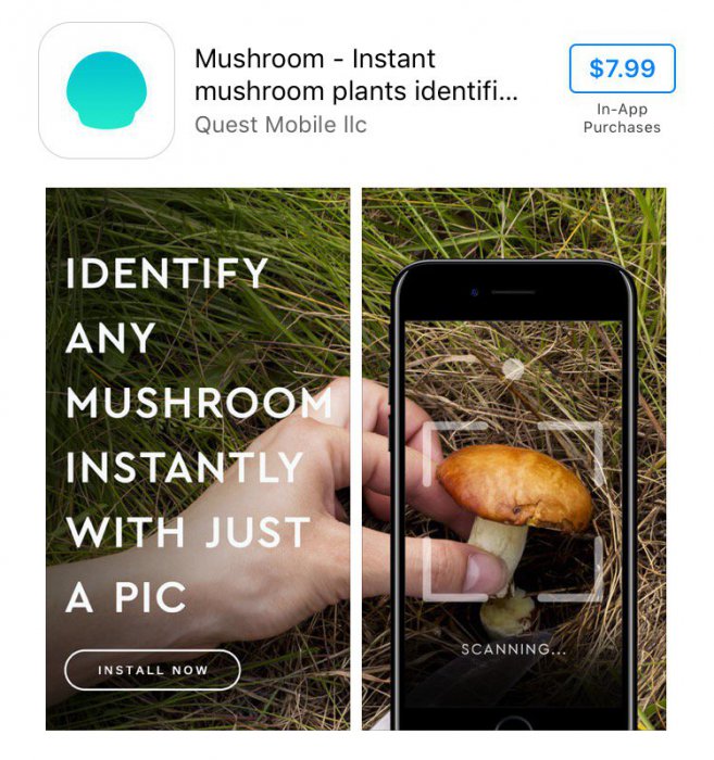 Стоит доверять такому приложению?